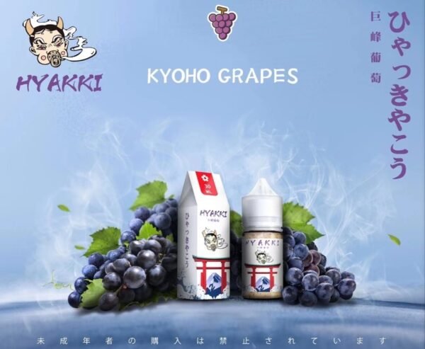 【小煙油】日系 HYAKKI（哈亞齊）30ML 進口煙油